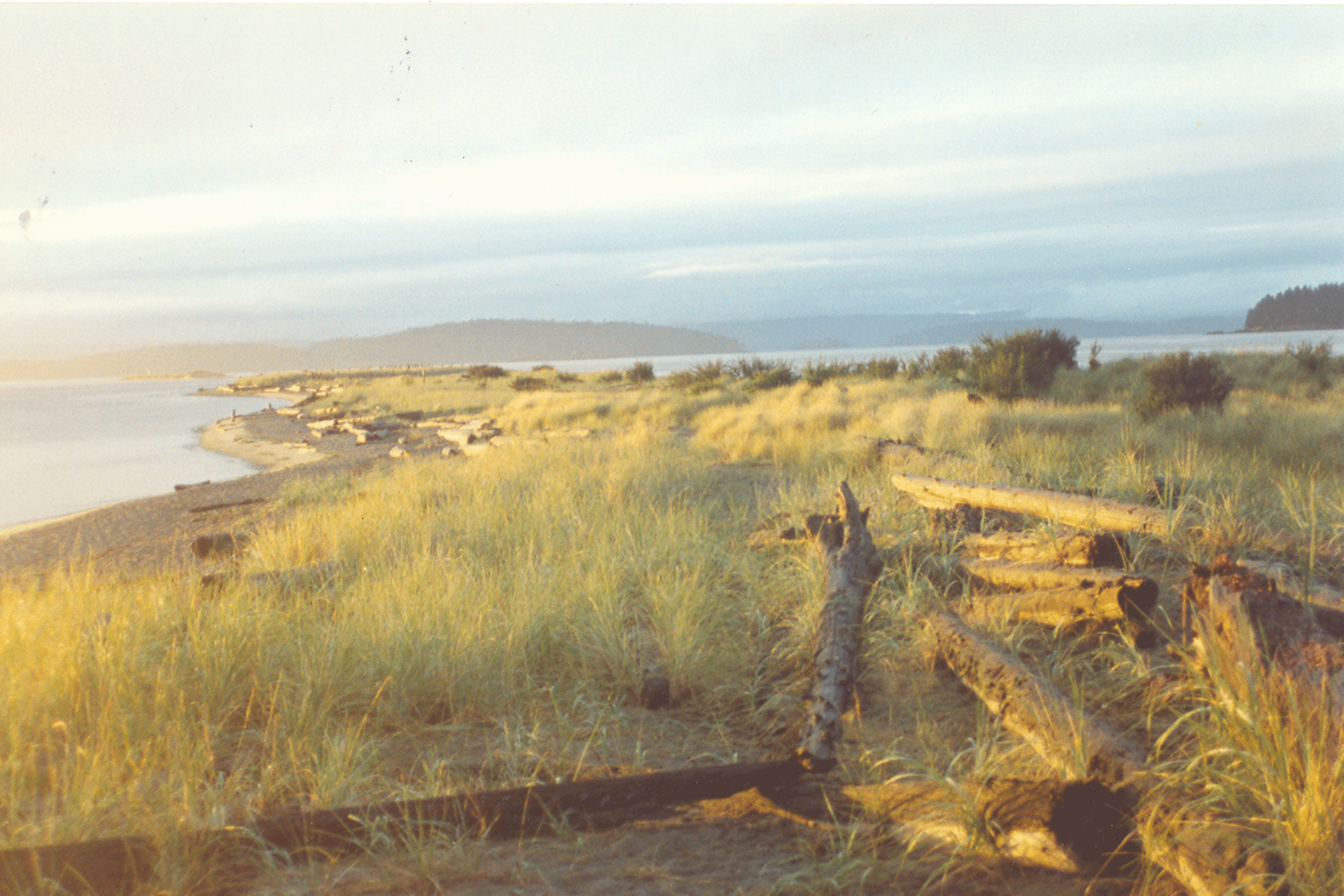 Sidney Spit, Sidney Island, B.C.